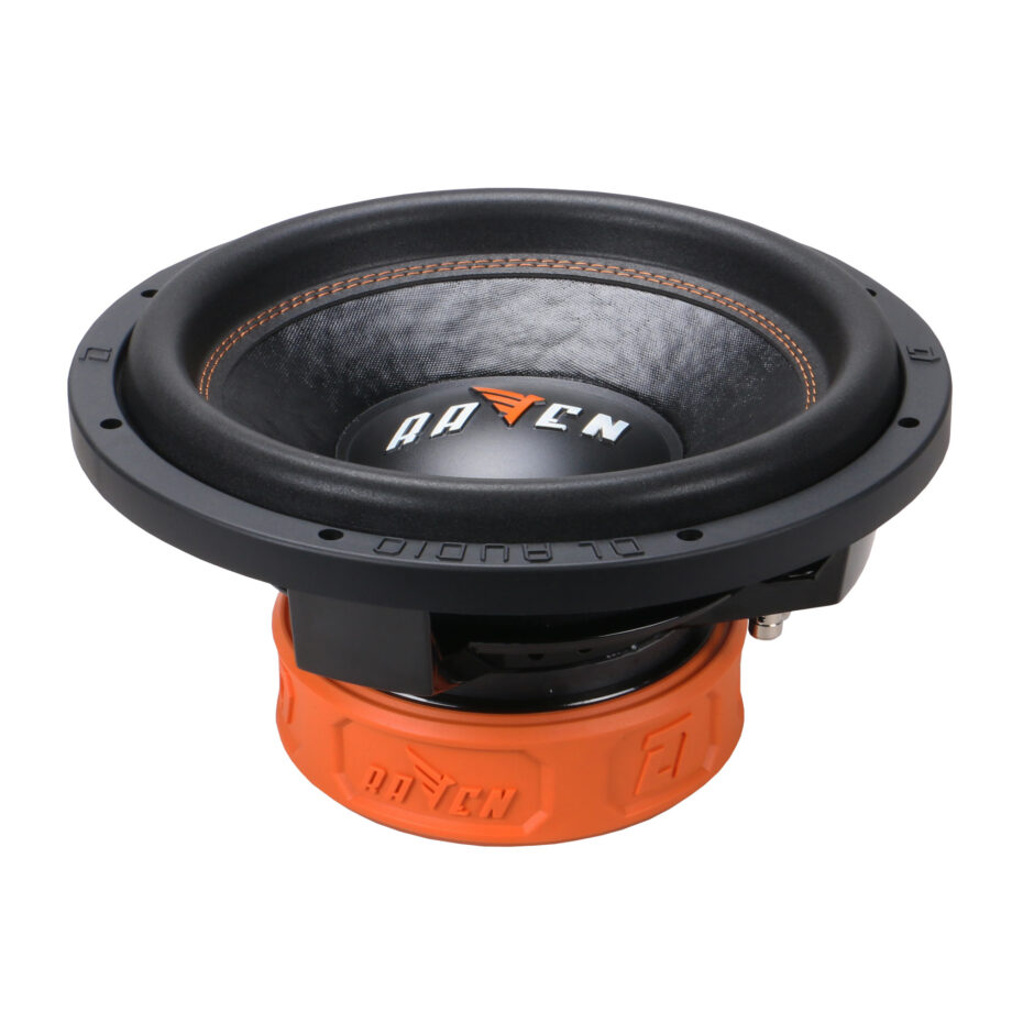 DL Audio  Raven 12 3
