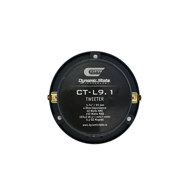 DynamicState CT-9.1 1