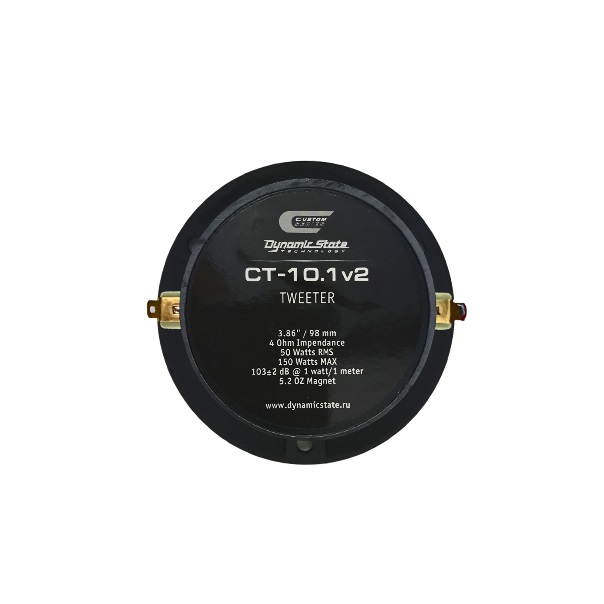 DynamicState CT-10.1v2 1