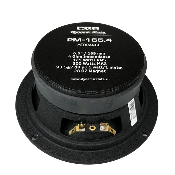 DynamicState PM-165.4 1