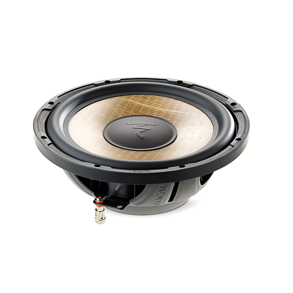 Focal flax evo p25fse 1 — копия