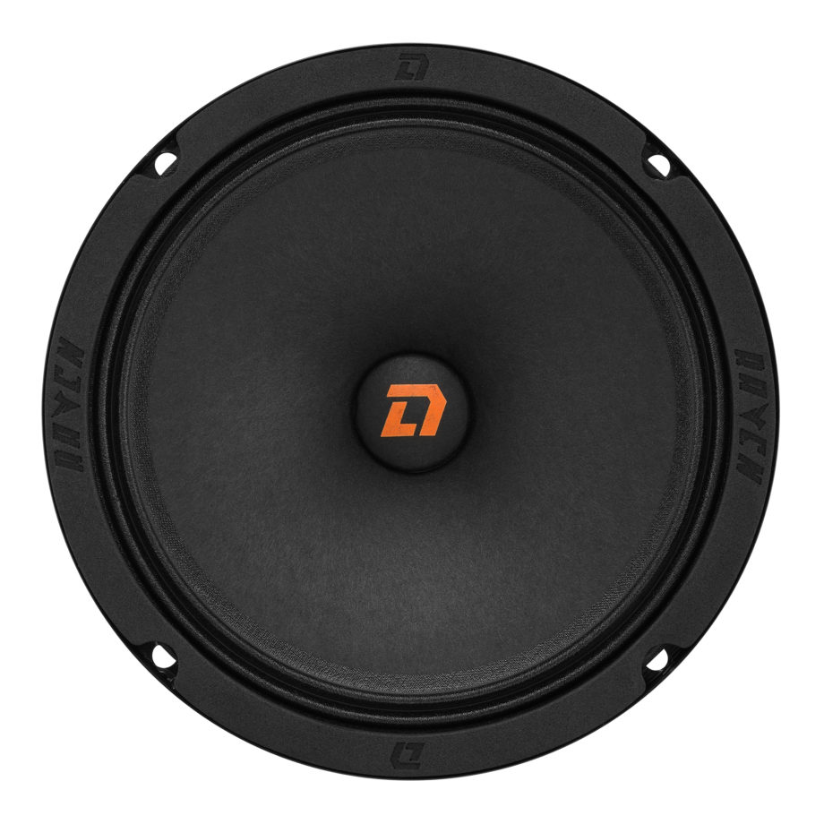 DL Audio Raven 165 1