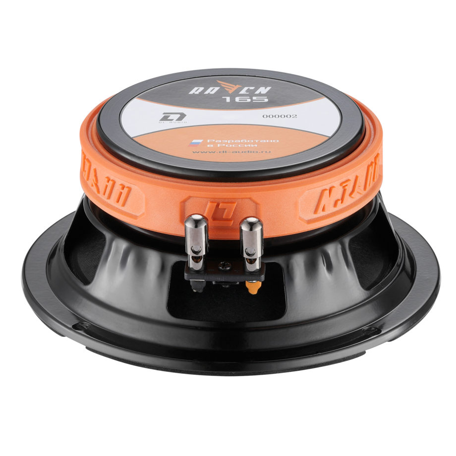 DL Audio Raven 165 2