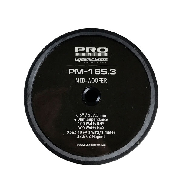 DynamicState PM-165.3 Pro 1