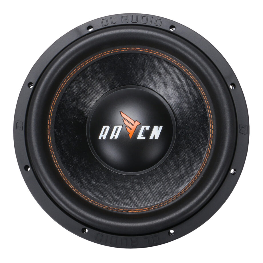 DL Audio  Raven 12 1